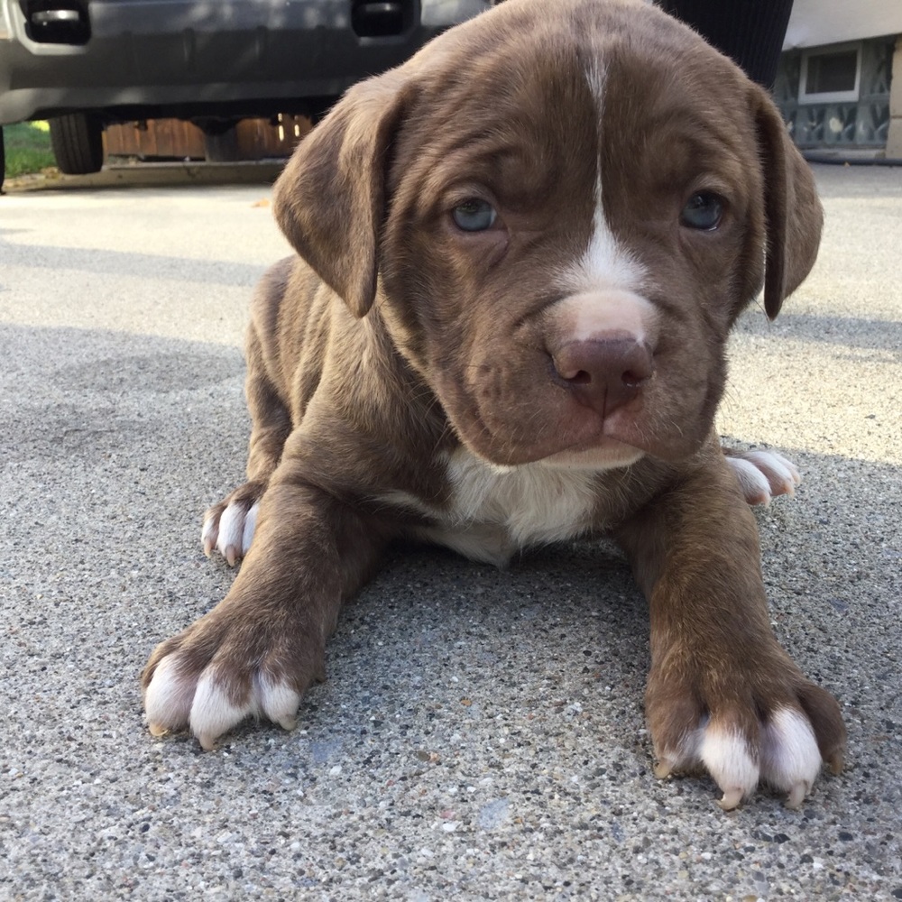 Meet your Posher, Danica